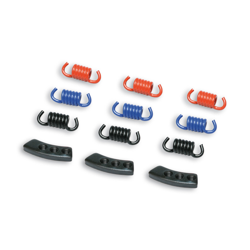 tension spring Malossi set clutch 105 & 107mm Delta Clutch clutches 9-parts sco gy6, v-clic 298747