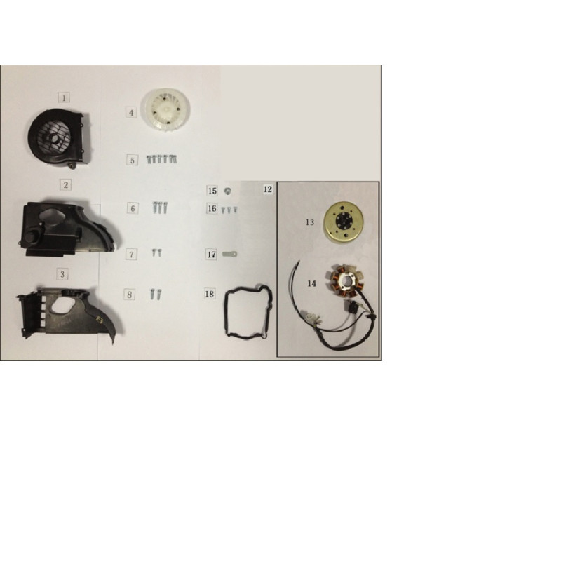 Ontsteking - GY6 - Euro 5 - Continental EFI