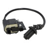ignition coil Kymco original euro-4 new like 3051a-acb9-e10