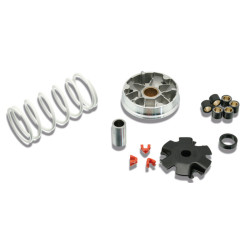 variator kit Malossi euro-2/4 people, super-8, symply, sco kymco 4t 5113790