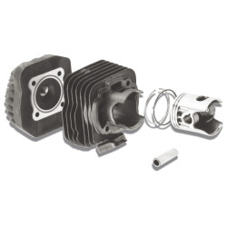 cilinder met kop malossi 70cc 47mm kymco, dj, dj refined, kb-k12, scout 317200
