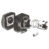 cylinder with head Malossi 70cc 47mm kymco, dj, dj refined, kb-k12, scout 317200
