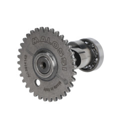 camshaft Malossi like, people, people-s, sco kymco 4t, sco sym 4t, sento, super-8 5914143