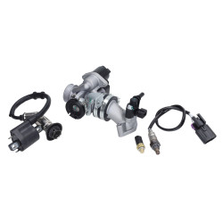 gasklephuis DMP set euro-4/5 injec (zonder ECU) sco gy6, rongmao