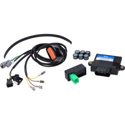 ECU unitset polini Euro-5/5+ django, kisbee 4t, peugeot, viva 171.0021