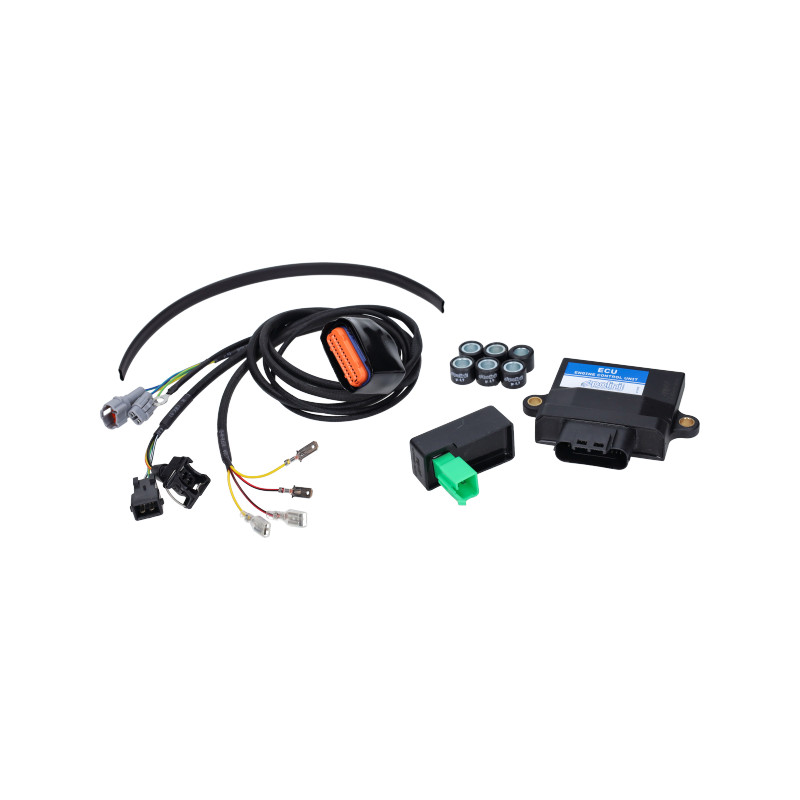 ECU unit set Polini Euro-5/5+ django, kisbee 4t, peugeot, viva 171.0021