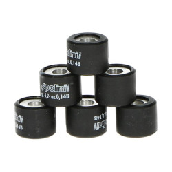 variorolset polini 7.7gr 16x13mm sco gy6, sco piaggio ot 242.064