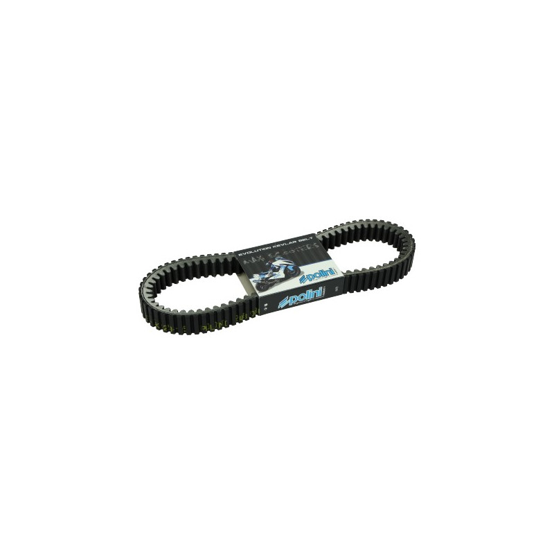 V-belt Polini kevlar 908x31.2 ak550, t-max530, t-max560 248.086