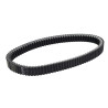 V-belt Dayco/pirelli ak550, t-max560, t-max530 xtx1017 908x32.5x15mm